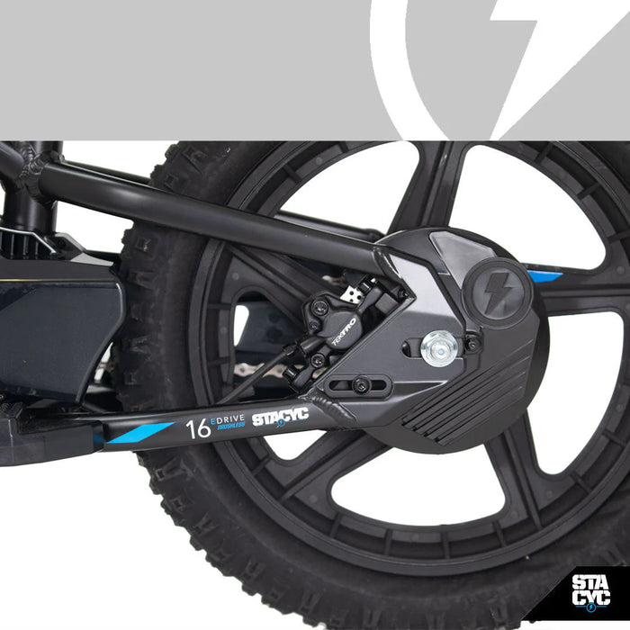 Stacyc 16eDrive Elite 36V Brushless Motor E-Bike for Ages 6-8