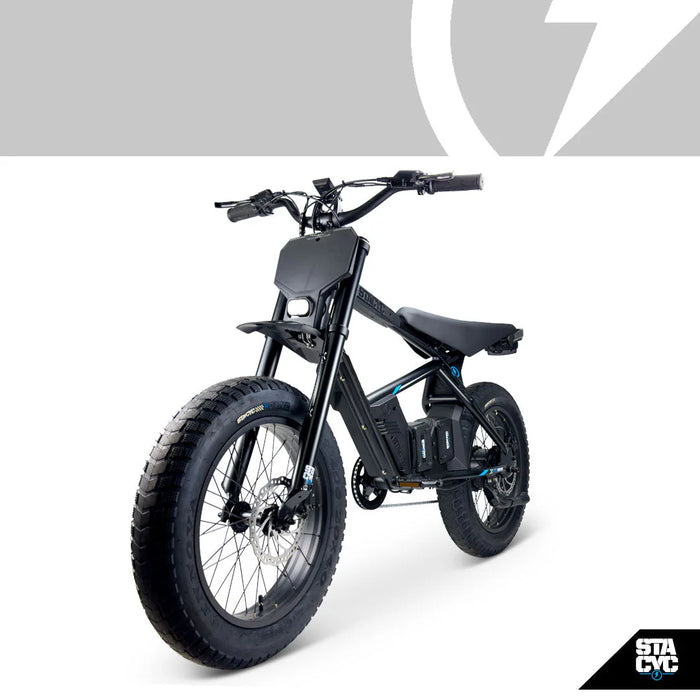 Stacyc 20hDrive 500W Brushless Hub Motor E-Bike