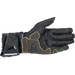 Alpinestars Mens GP Tech V2 Gloves - Black/White
