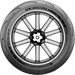 Michelin Scorcher Sport Tire