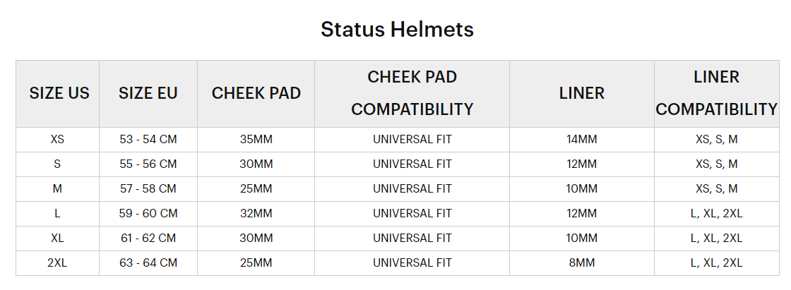 100% Status MTB Helmet