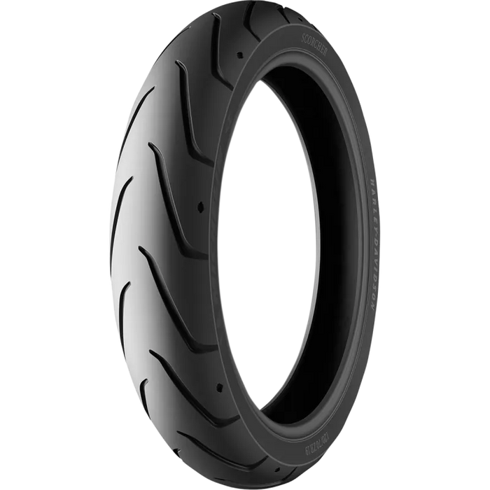 Michelin Scorcher Sport Tire