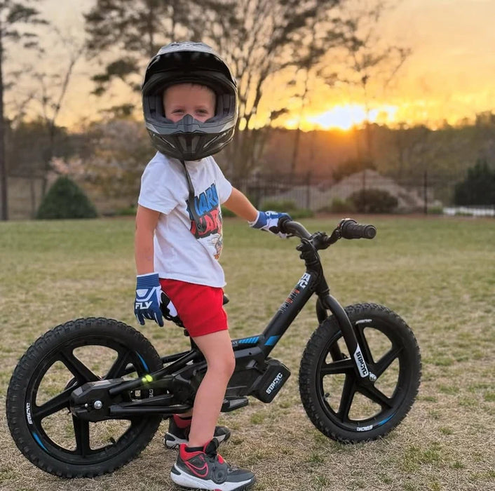 Stacyc 16eDrive Elite 36V Brushless Motor E-Bike for Ages 6-8