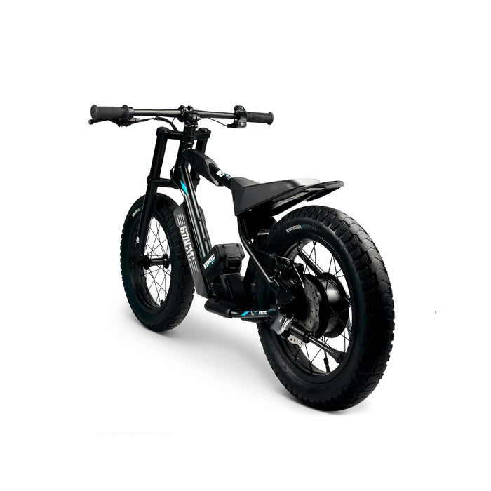 Stacyc 16hDrive 250W Brushless Rear Hub Motor E-Bike for Ages 4+