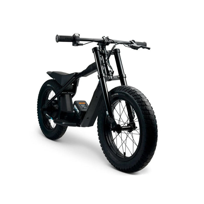 Stacyc 16hDrive 250W Brushless Rear Hub Motor E-Bike for Ages 4+