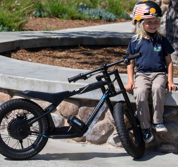 Stacyc 16hDrive 250W Brushless Rear Hub Motor E-Bike for Ages 4+