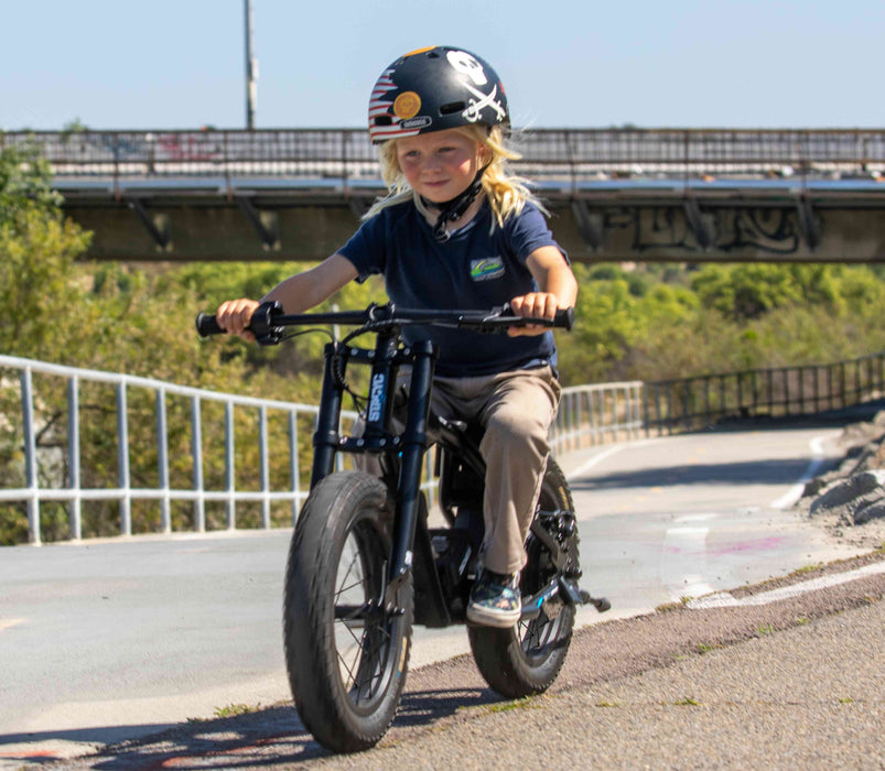 Stacyc 16hDrive 250W Brushless Rear Hub Motor E-Bike for Ages 4+