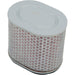 HiFlo Air Filters 1011-1851