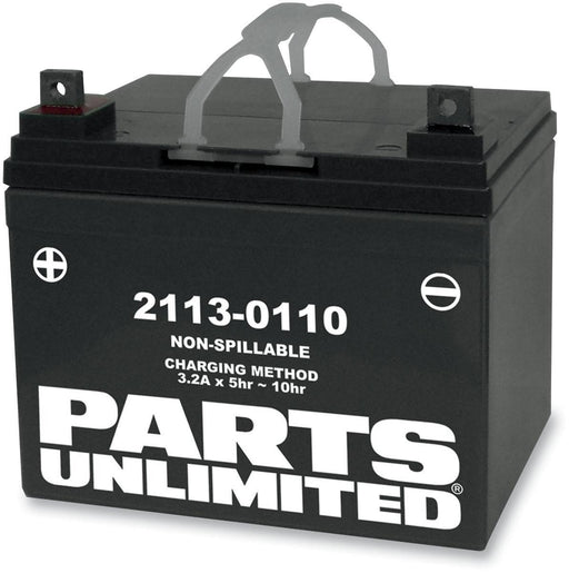 Parts Unlimited AGM Maintenance-Free Battery CTX12-BS